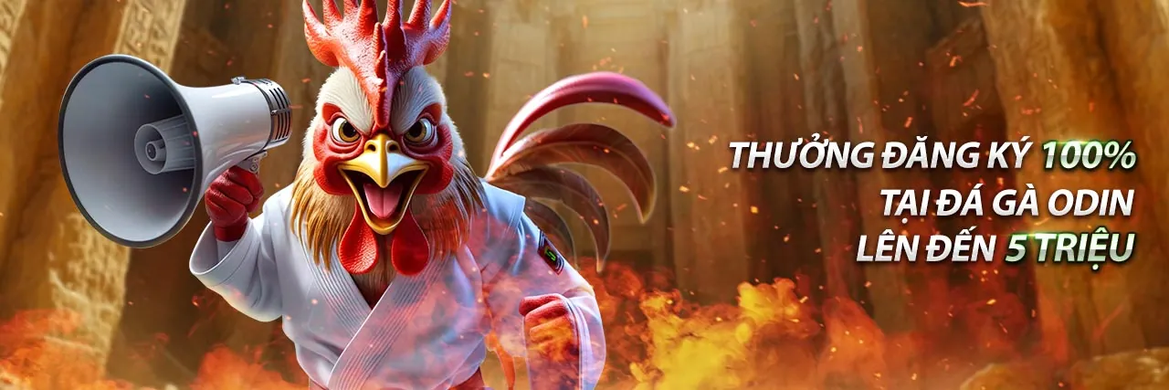 Đội ngũ hỗ trợ khách hàng b52 tx sẵn sàng phục vụ 24/7